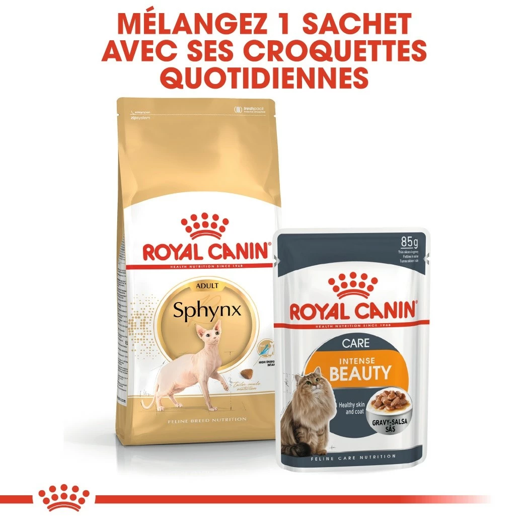 Royal Canin Sphynx Adult 8 Royal Canin Sphynx Adult – Image 8