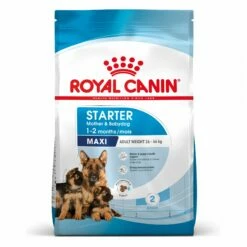 ROYAL CANIN Starter Maxi Mother & Babydog - Croquettes Pour Chiot -Promos Wanimo Boutique royal canin starter maxi mother babydog croquettes pour chiot 1 10