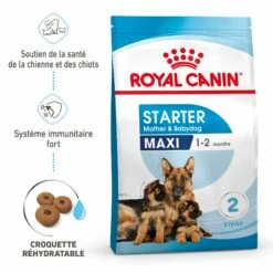 ROYAL CANIN Starter Maxi Mother & Babydog - Croquettes Pour Chiot -Promos Wanimo Boutique royal canin starter maxi mother babydog croquettes pour chiot 1 2