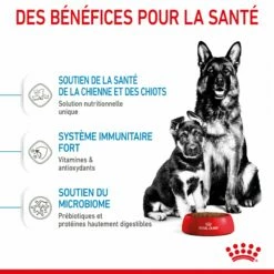 ROYAL CANIN Starter Maxi Mother & Babydog - Croquettes Pour Chiot -Promos Wanimo Boutique royal canin starter maxi mother babydog croquettes pour chiot 1 4