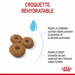 ROYAL CANIN Starter Maxi Mother & Babydog - Croquettes Pour Chiot -Promos Wanimo Boutique royal canin starter maxi mother babydog croquettes pour chiot 1 5