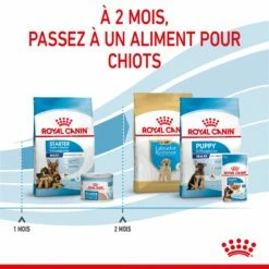 ROYAL CANIN Starter Maxi Mother & Babydog - Croquettes Pour Chiot -Promos Wanimo Boutique royal canin starter maxi mother babydog croquettes pour chiot 1 6