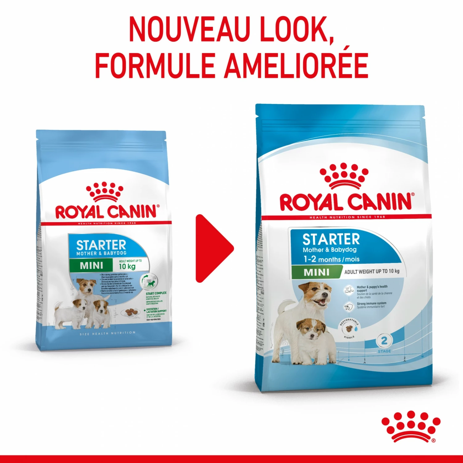 ROYAL CANIN Starter Mini Mother & Babydog - Croquettes Pour Chiot 2 ROYAL CANIN Starter Mini Mother & Babydog - Croquettes Pour Chiot – Image 2