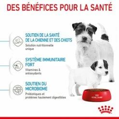 ROYAL CANIN Starter Mini Mother & Babydog - Croquettes Pour Chiot 14 ROYAL CANIN Starter Mini Mother & Babydog - Croquettes Pour Chiot -Promos Wanimo Boutique royal canin starter mini mother babydog croquettes pour chiot 1 4