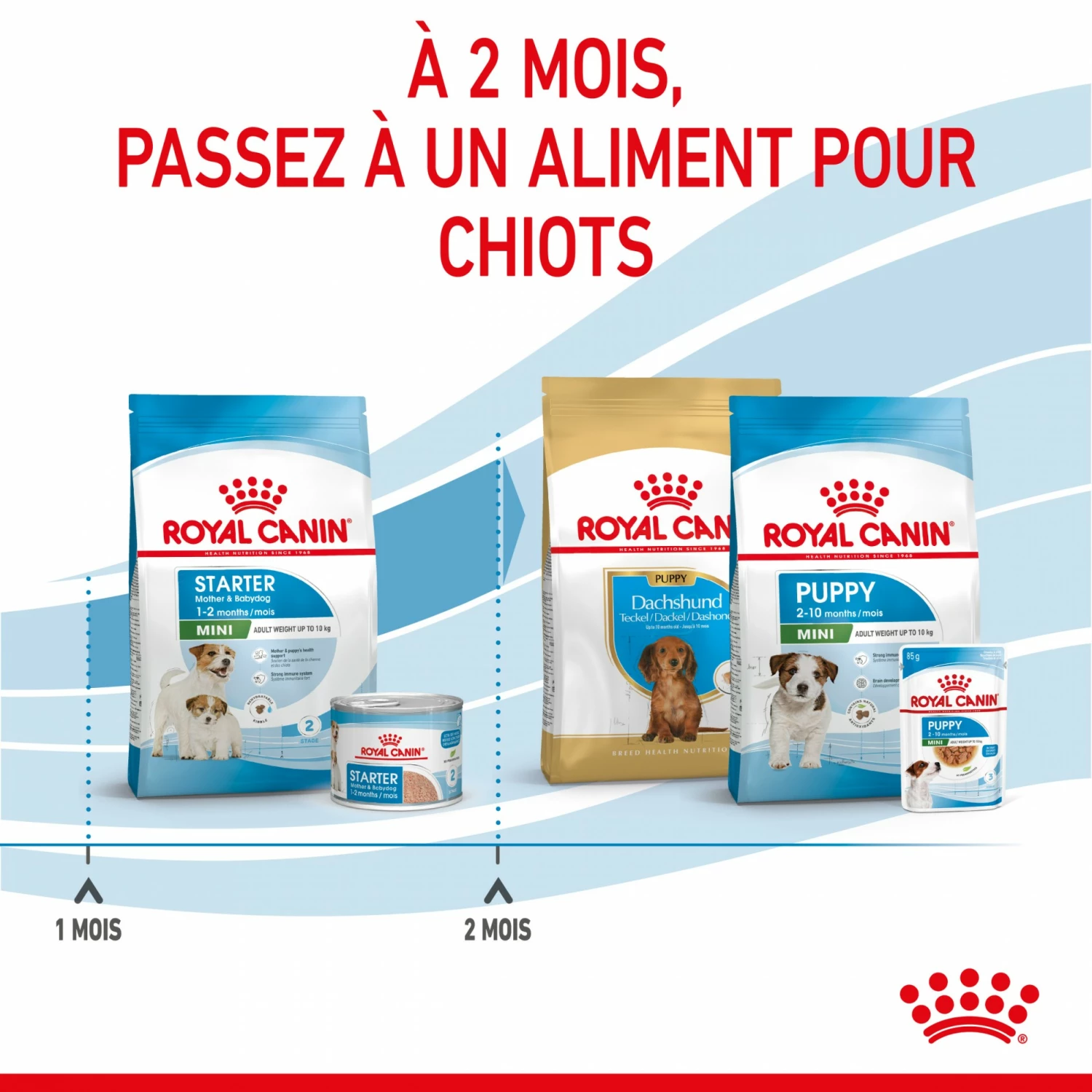 ROYAL CANIN Starter Mini Mother & Babydog - Croquettes Pour Chiot 7 ROYAL CANIN Starter Mini Mother & Babydog - Croquettes Pour Chiot – Image 7