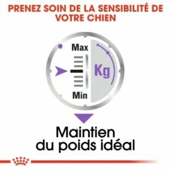 Royal Canin Sterilised - Pâtée Pour Chien -Promos Wanimo Boutique royal canin sterilised patee pour chien sterilised adulte lot x g 3