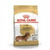 Royal Canin Teckel Adult (Dachshund) - Croquettes Pour Chien