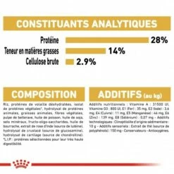 Royal Canin Teckel Adult (Dachshund) - Croquettes Pour Chien -Promos Wanimo Boutique royal canin teckel adult dachshund croquettes pour chien teckel dachshund 1 4