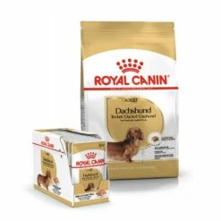 Royal Canin Teckel Adult (Dachshund) - Croquettes Pour Chien -Promos Wanimo Boutique royal canin teckel adult dachshund croquettes pour chien teckel dachshund 1 5