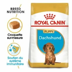 Royal Canin Teckel Puppy (Dachshund) -Promos Wanimo Boutique royal canin teckel puppy dachshund teckel dachshund junior 3