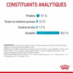 ROYAL CANIN Urinary Care En Gelée – Pâtée Pour Chat -Promos Wanimo Boutique royal canin urinary care en gelee patee pour chat 1 7