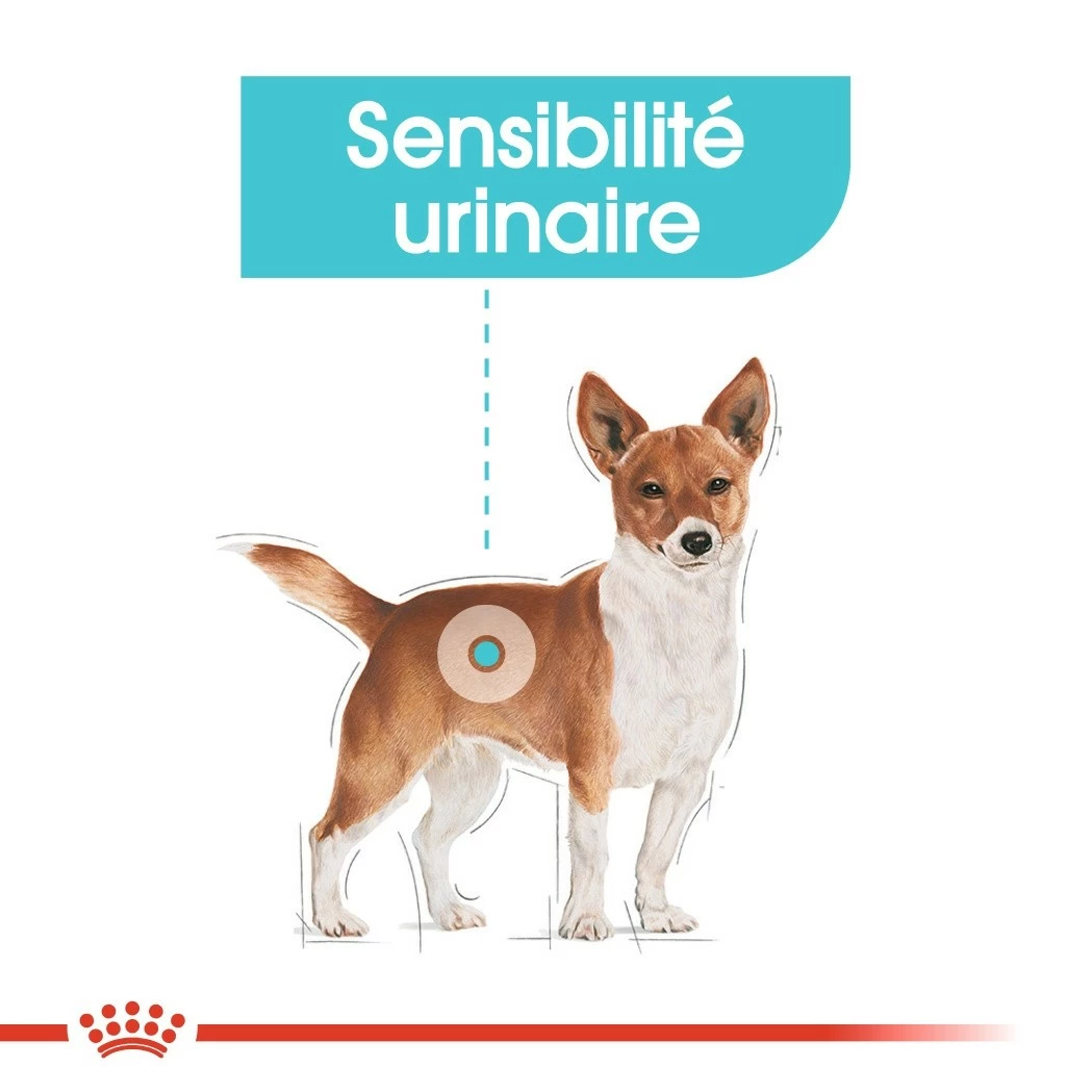Royal Canin Urinary Care - Pâtée Pour Chien 2 Royal Canin Urinary Care - Pâtée Pour Chien – Image 2