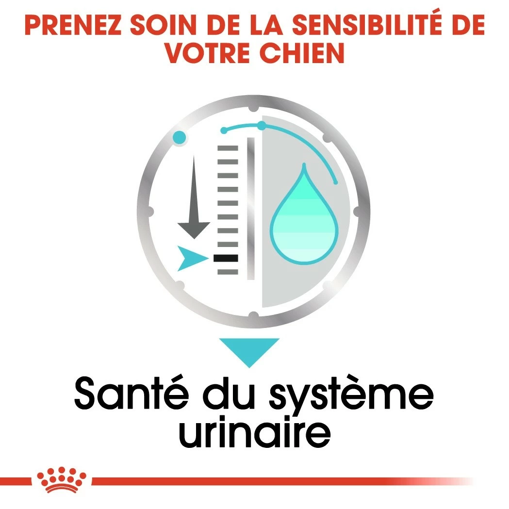 Royal Canin Urinary Care - Pâtée Pour Chien 4 Royal Canin Urinary Care - Pâtée Pour Chien – Image 4