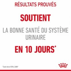 Royal Canin Urinary Care -Promos Wanimo Boutique royal canin urinary care urinary care sauce 2