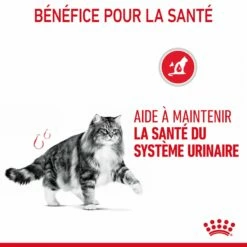 Royal Canin Urinary Care -Promos Wanimo Boutique royal canin urinary care urinary care sauce 3