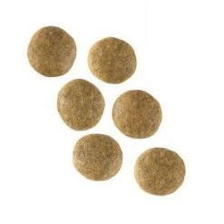 Royal Canin Vet Care Adult Dog -Promos Wanimo Boutique royal canin vet care adult dog adult medium dog 2