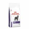 Royal Canin Veterinary Adult Large Dog