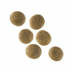 Royal Canin Veterinary Adult Large Dog -Promos Wanimo Boutique royal canin veterinary adult large dog royal canin veterinary 1 2