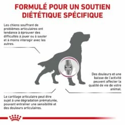 Royal Canin Veterinary Mobility Support - Croquettes Pour Chien -Promos Wanimo Boutique royal canin veterinary mobility support croquettes pour chien royal canin veterinary 2