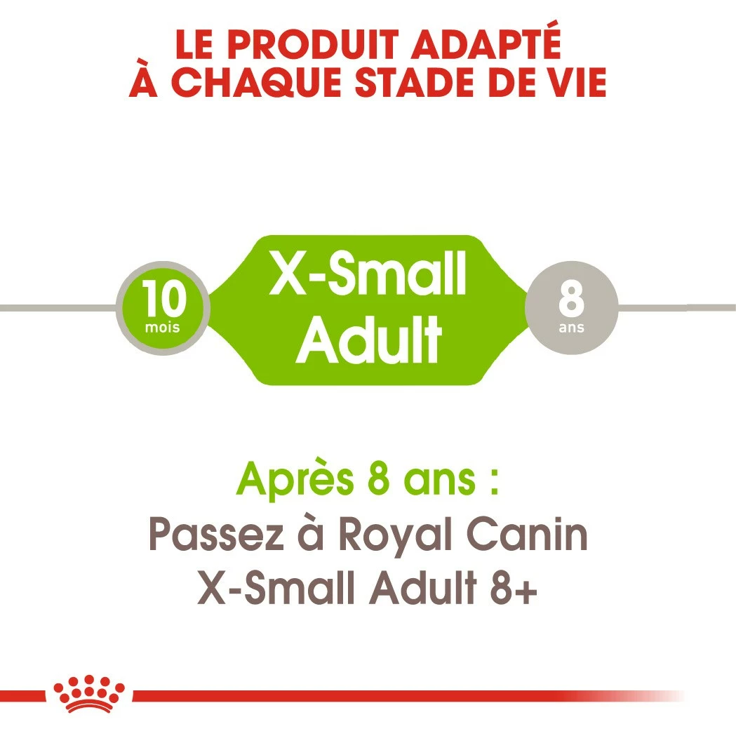 Royal Canin X-Small Adult 4 Royal Canin X-Small Adult – Image 4