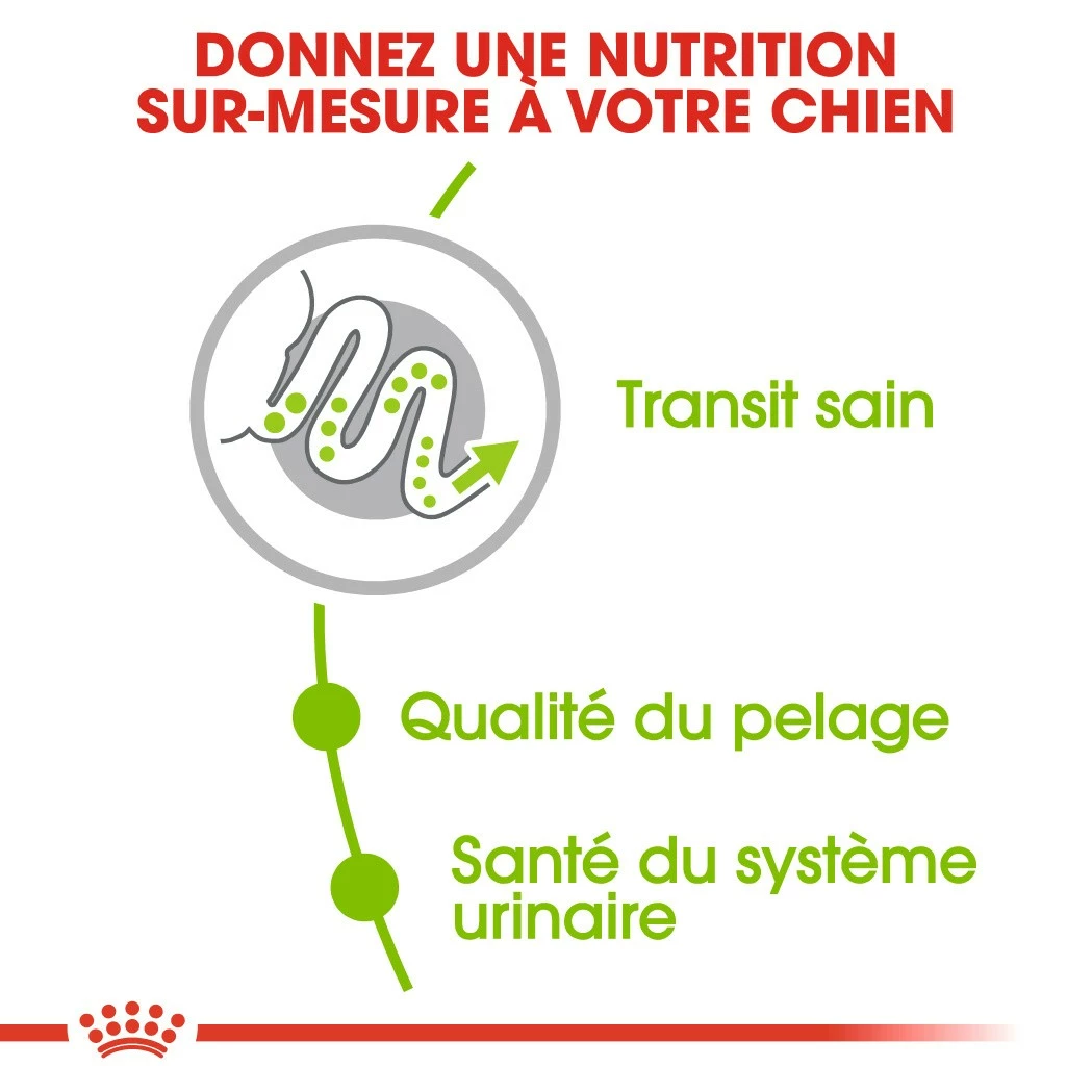 Royal Canin X-Small Adult 5 Royal Canin X-Small Adult – Image 5