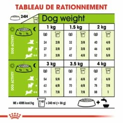 Royal Canin X-Small Adult 12 Royal Canin X-Small Adult -Promos Wanimo Boutique royal canin x small adult x small adult 5