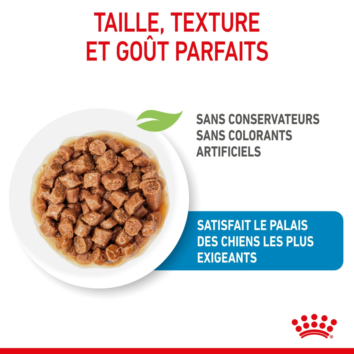 ROYAL CANIN X-Small Puppy En Sauce - Pâtée Pour Chiot 4 ROYAL CANIN X-Small Puppy En Sauce - Pâtée Pour Chiot – Image 4