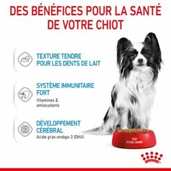 ROYAL CANIN X-Small Puppy En Sauce - Pâtée Pour Chiot 12 ROYAL CANIN X-Small Puppy En Sauce - Pâtée Pour Chiot -Promos Wanimo Boutique royal canin x small puppy en sauce patee pour chiot 1 4