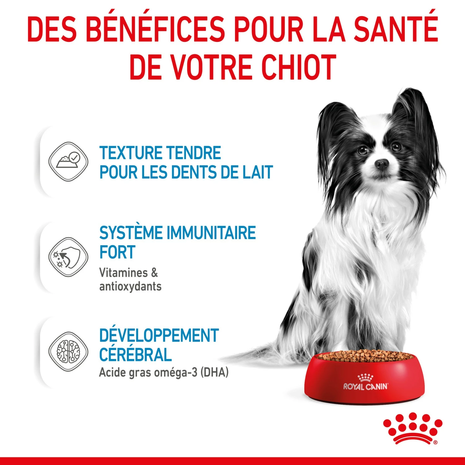 ROYAL CANIN X-Small Puppy En Sauce - Pâtée Pour Chiot 5 ROYAL CANIN X-Small Puppy En Sauce - Pâtée Pour Chiot – Image 5