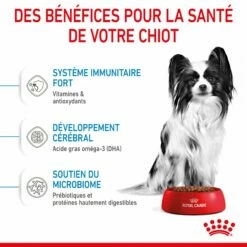 Royal Canin X-Small Puppy -Promos Wanimo Boutique royal canin x small puppy x small puppy 4