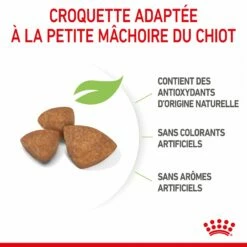 Royal Canin X-Small Puppy -Promos Wanimo Boutique royal canin x small puppy x small puppy 5