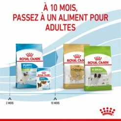 Royal Canin X-Small Puppy -Promos Wanimo Boutique royal canin x small puppy x small puppy 6