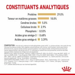 Royal Canin Yorkshire Terrier Adult 8+ - Croquettes Pour Chien -Promos Wanimo Boutique royal canin yorkshire terrier adult croquettes pour chien yorkshire terrier adulte 1 4