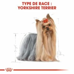 Royal Canin Yorkshire Terrier Adult - Croquettes Pour Chien -Promos Wanimo Boutique royal canin yorkshire terrier adult croquettes pour chien yorkshire terrier adulte 4