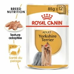 Royal Canin Yorkshire Terrier - Pâtée Pour Chien -Promos Wanimo Boutique royal canin yorkshire terrier patee pour chien yorkshire terrier adult lot de x g 2
