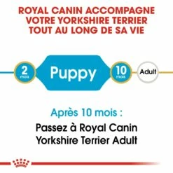 Royal Canin Yorkshire Terrier Puppy - Croquettes Pour Chiot -Promos Wanimo Boutique royal canin yorkshire terrier puppy croquettes pour chiot yorkshire terrier junior 4