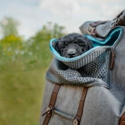 Kurgo Sac à Dos K9 Rucksack -Promos Wanimo Boutique sac a dos k rucksack kurgo 10