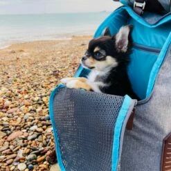 Kurgo Sac à Dos K9 Rucksack -Promos Wanimo Boutique sac a dos k rucksack kurgo 12