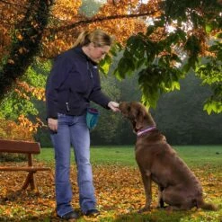 Kurgo Sac à Friandises Go Stuff It -Promos Wanimo Boutique sac a friandises go stuff it kurgo 3