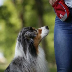 Kurgo Sac à Friandises Go Stuff It -Promos Wanimo Boutique sac a friandises go stuff it kurgo 4