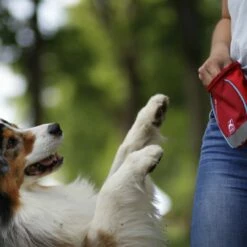 Kurgo Sac à Friandises Go Stuff It -Promos Wanimo Boutique sac a friandises go stuff it kurgo 5