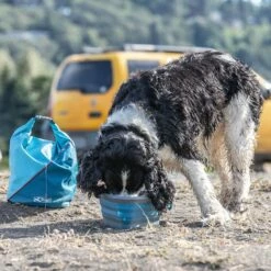 Kurgo Sac De Transport Pour Croquettes 5 Kurgo Sac De Transport Pour Croquettes -Promos Wanimo Boutique sac de transport pour croquettes kurgo 2