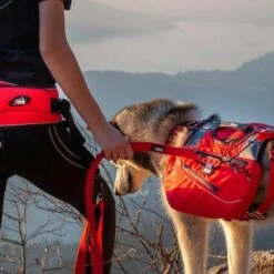 Sacoches Confort Trek 9 Sacoches Confort Trek -Promos Wanimo Boutique sacoches confort trek i dog 2