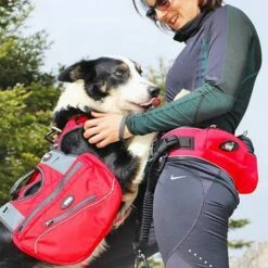 Sacoches Confort Trek 10 Sacoches Confort Trek -Promos Wanimo Boutique sacoches confort trek i dog 3