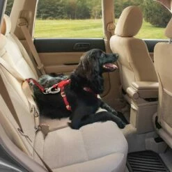 Kurgo Sangle D'attache De Sécurité Swivel 6 Kurgo Sangle D'attache De Sécurité Swivel -Promos Wanimo Boutique sangle d attache de securite swivel kurgo 2