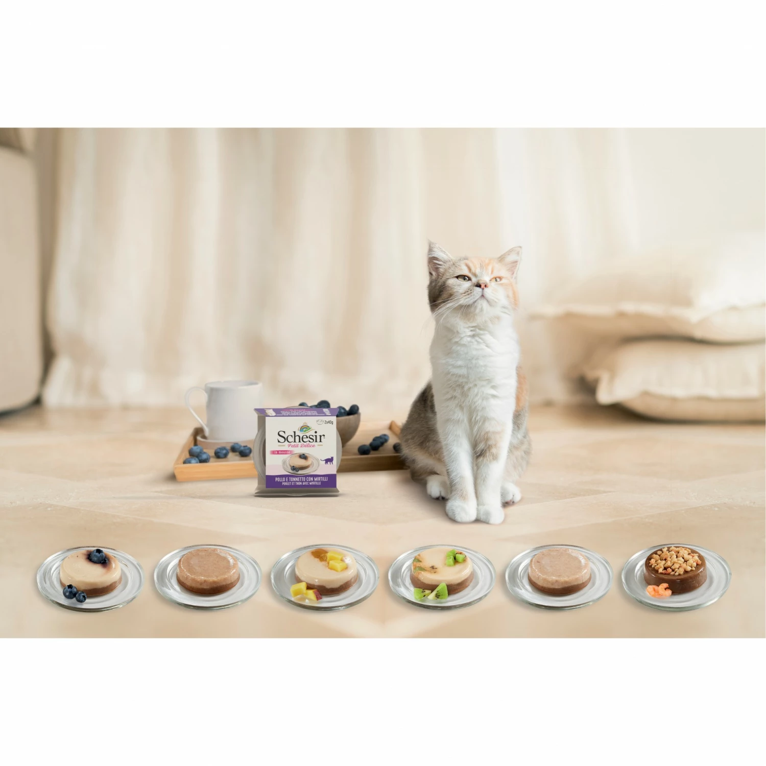 Schesir Pâtées Petit Délice - 24 X 40 G 2 Schesir Pâtées Petit Délice - 24 X 40 G – Image 2