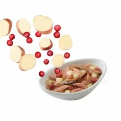 Schesir Pâtées Salads Pokè - 14 X 85 G -Promos Wanimo Boutique schesir patees salads poke x g schesir 10