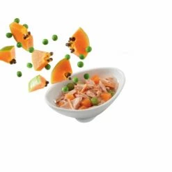 Schesir Pâtées Salads Pokè - 14 X 85 G -Promos Wanimo Boutique schesir patees salads poke x g schesir 12