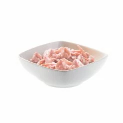 Schesir Pâtées Spécialités De La Mer En Gelée Adult - 14 X 85 G 34 Schesir Pâtées Spécialités De La Mer En Gelée Adult - 14 X 85 G -Promos Wanimo Boutique schesir patees specialites de la mer en gelee adult x g schesir 14