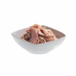 Schesir Pâtées Spécialités De La Mer En Gelée Adult - 14 X 85 G 38 Schesir Pâtées Spécialités De La Mer En Gelée Adult - 14 X 85 G -Promos Wanimo Boutique schesir patees specialites de la mer en gelee adult x g schesir 18